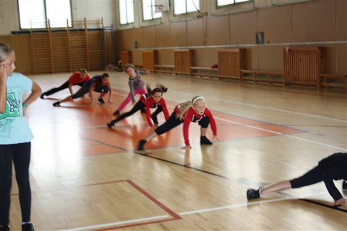 Obrázek v galerii